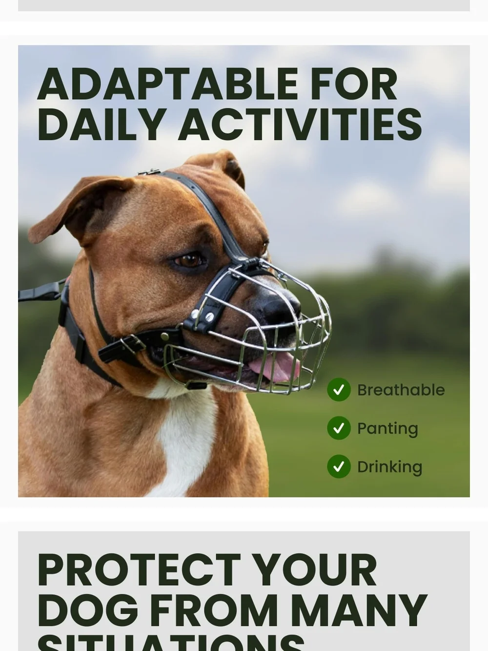 Bronze Dog Black Leather & Stainless Steel Muzzle